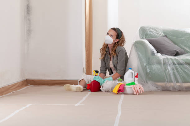 Reliable Mold Remediation contractor in Converse, TX by WQB Mold Removal